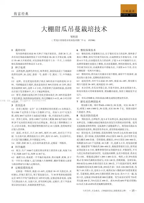 大棚甜瓜吊蔓栽培技术