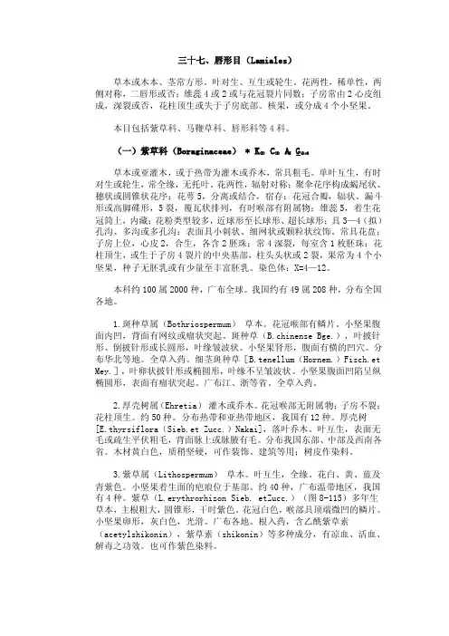 三十七、唇形目（Lamiales）