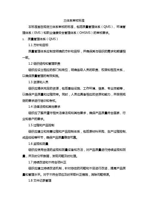 三体系审核标准