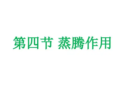 北师大版生物七上5.4《蒸腾作用》课件(共37张PPT)