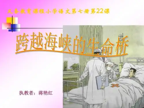 跨越海峡的生命桥ppt()