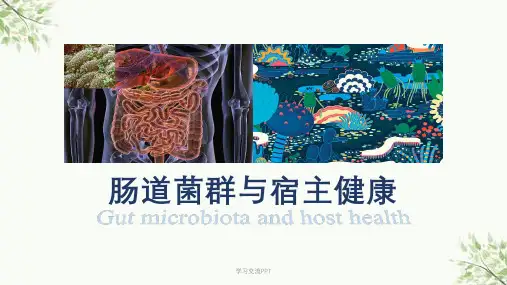 肠道菌群与宿主健康课件
