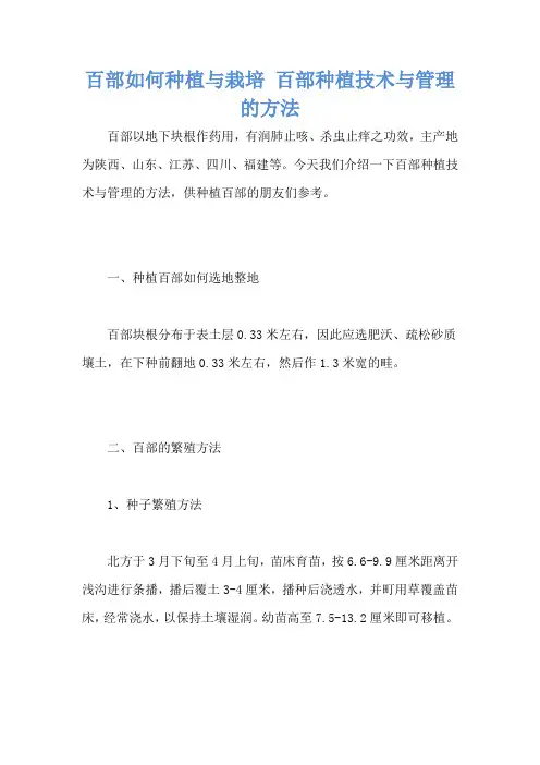 百部如何种植与栽培 百部种植技术与管理的方法