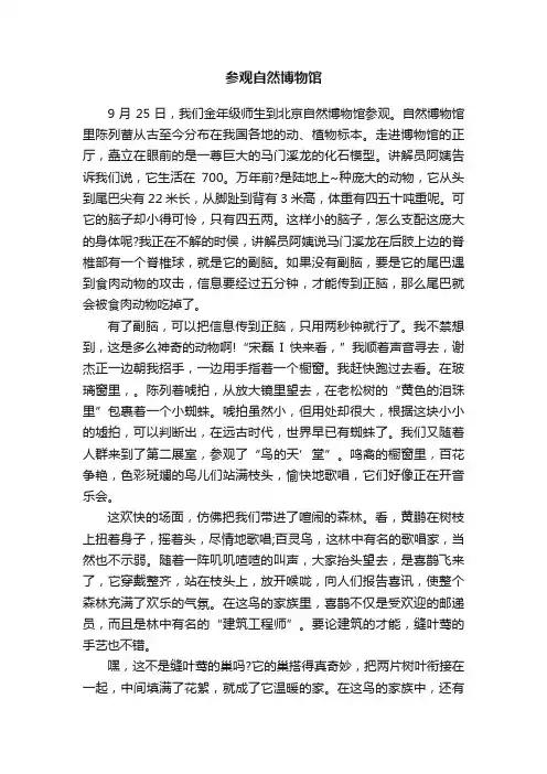 参观自然博物馆