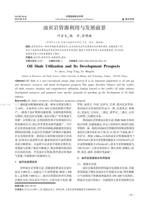 油页岩资源利用与发展前景