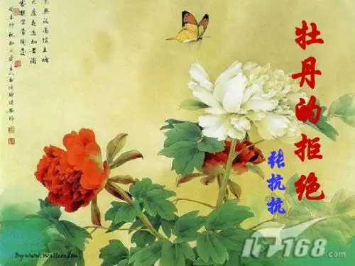 《牡丹的拒绝》(课堂)