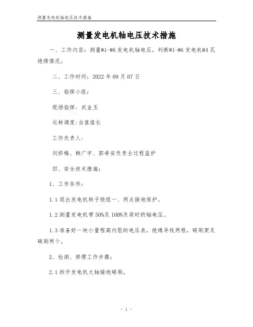 测量发电机轴电压技术措施