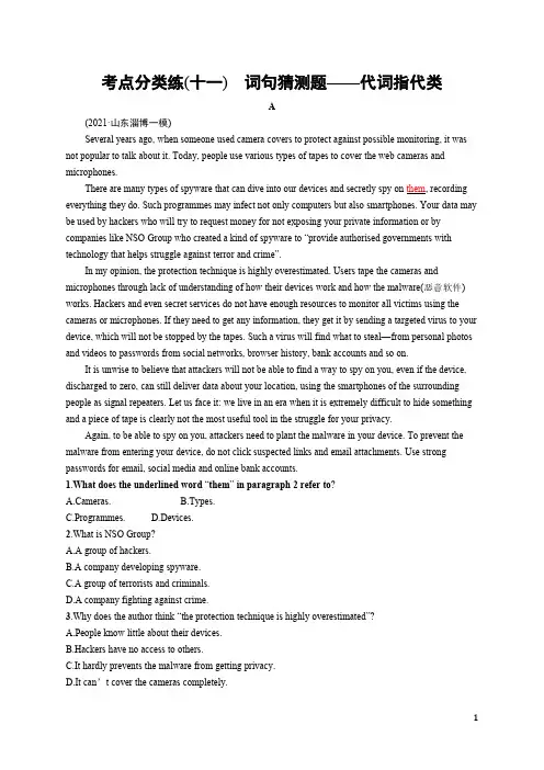 高考英语二轮复习课后习题含答案解析(人教版新高考新教材)考点分类练(十一) 词句猜测题——代词指代类
