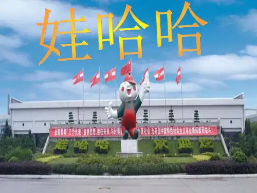 娃哈哈案例 PPT课件