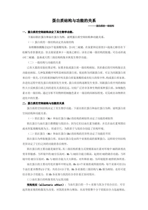 蛋白质空间结构