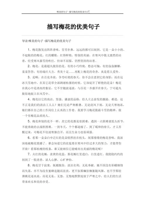 描写梅花的优美句子