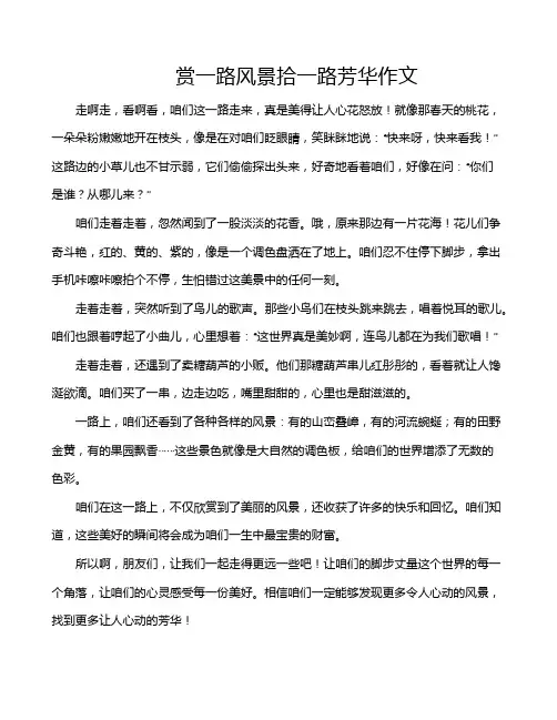 赏一路风景拾一路芳华作文