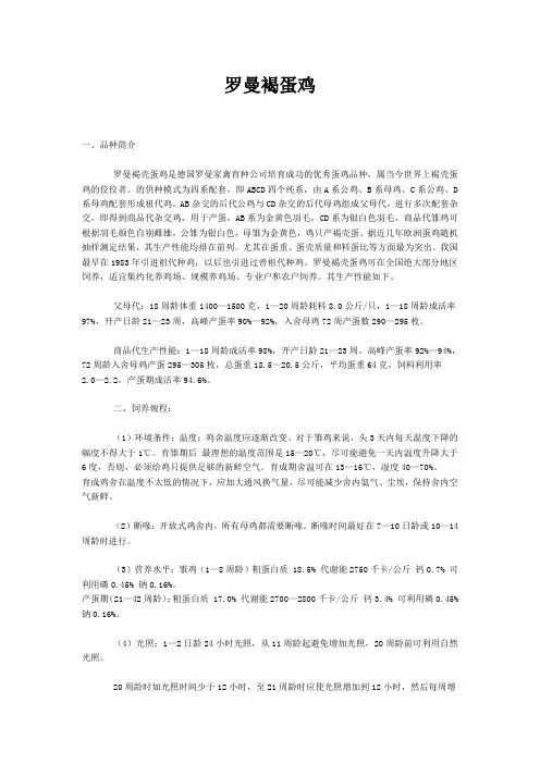 罗曼褐蛋鸡