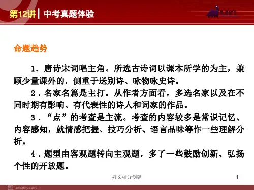 (最新修订)新课标初中语文教学课件：古诗文阅读_16-20