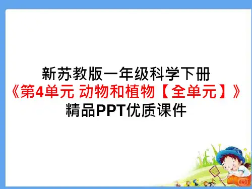 新苏教版一年级科学下册《第4单元动物与植物【全单元】》精品优质ppt课件
