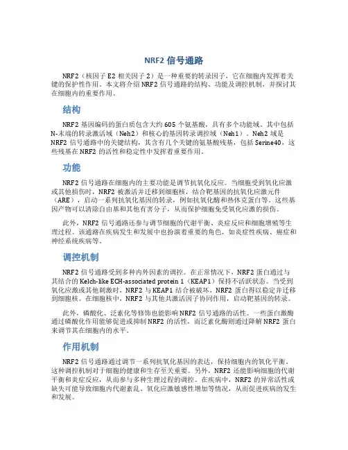 nrf2信号通路