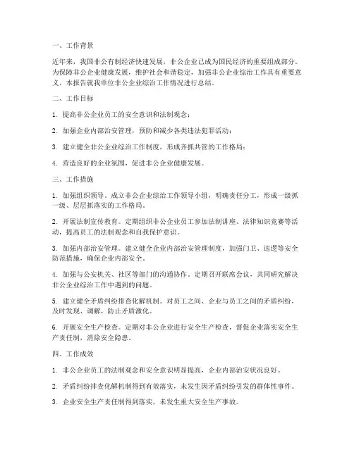非公企业综治工作总结报告
