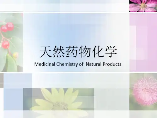 天然药物化学-绪论