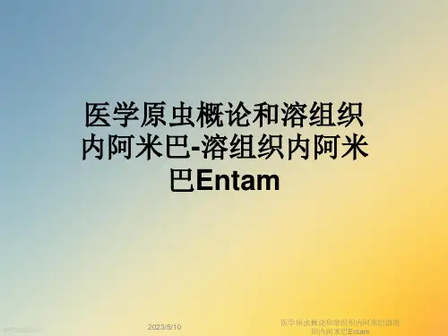 医学原虫概论和溶组织内阿米巴溶组织内阿米巴Entam