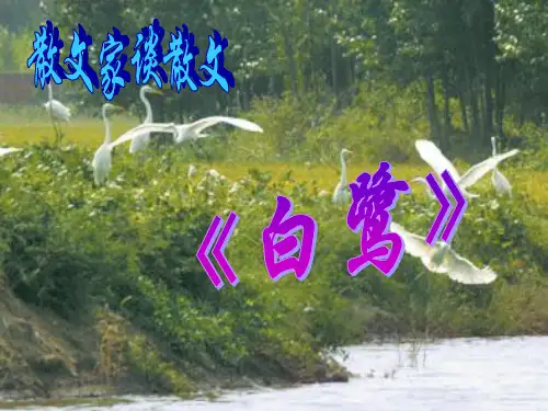 《散文家谈散文》课件2