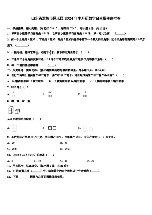 山东省潍坊市昌乐县2024年小升初数学自主招生备考卷含解析