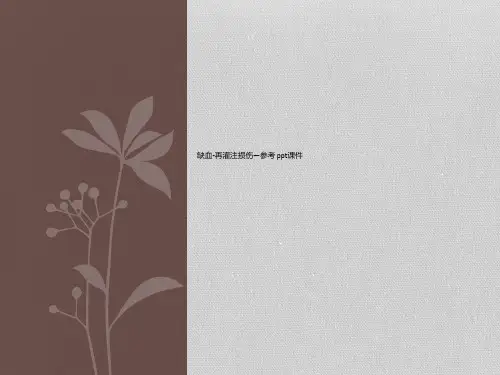 缺血-再灌注损伤—参考 ppt课件