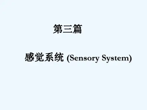 视觉、听觉、味觉、嗅觉、平衡觉 PPT