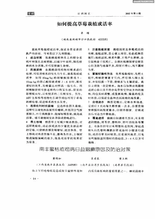 如何提高草莓栽植成活率