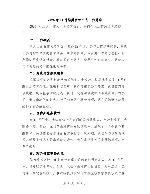 2024年11月结算会计个人工作总结