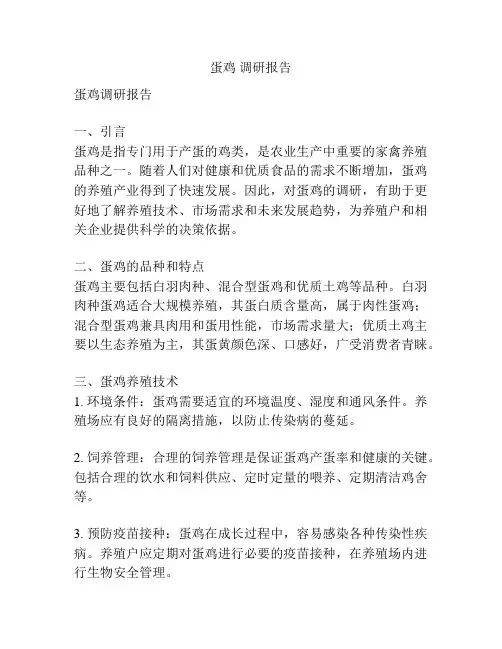 蛋鸡 调研报告