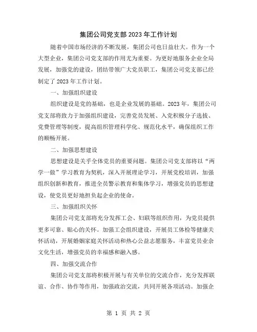 集团公司党支部2023年工作计划