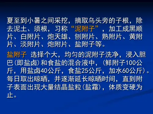 附子炮制