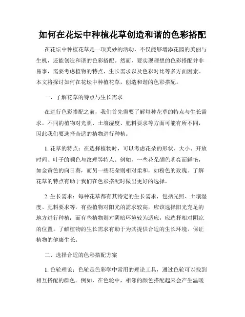 如何在花坛中种植花草创造和谐的色彩搭配