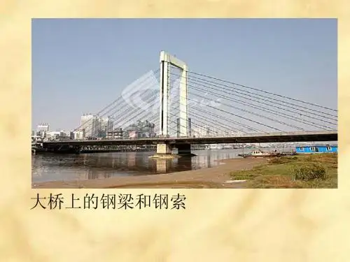 《相交线》课件 (2)