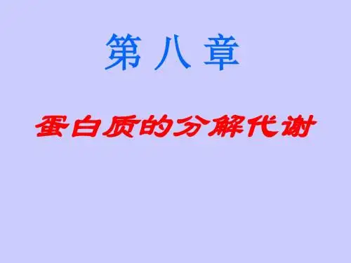 蛋白质的分解代谢