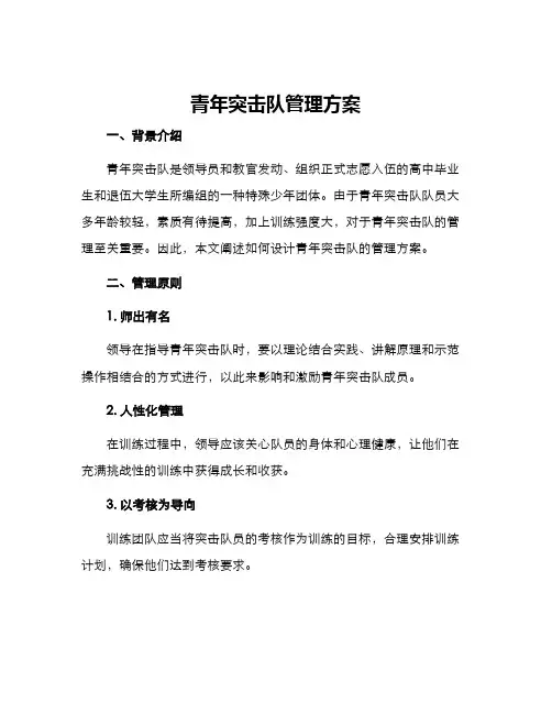 青年突击队管理方案