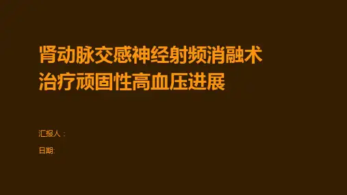 肾动脉交感神经射频消融术治疗顽固性高血压进展