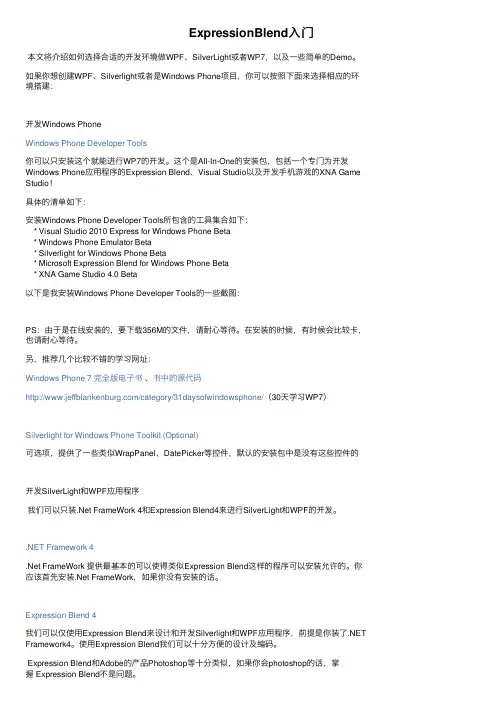 ExpressionBlend入门