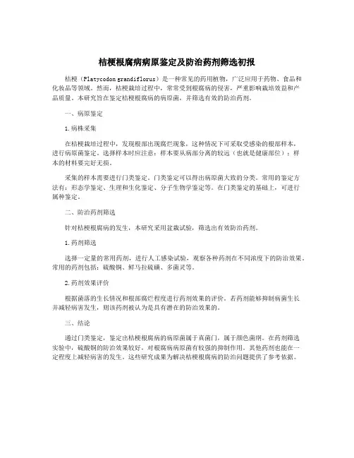 桔梗根腐病病原鉴定及防治药剂筛选初报