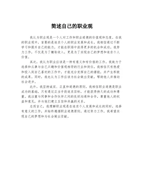 简述自己的职业观