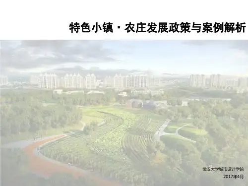 特色小镇_农庄发展政策与案例解析