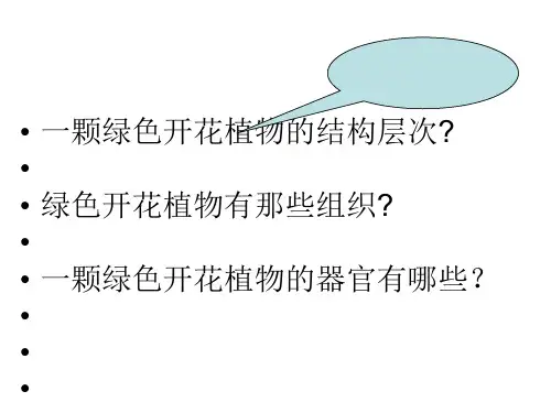 人体的结构层次ppt