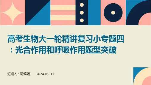 高考生物大一轮精讲复习小专题四光合作用和呼吸作用题型突破课件
