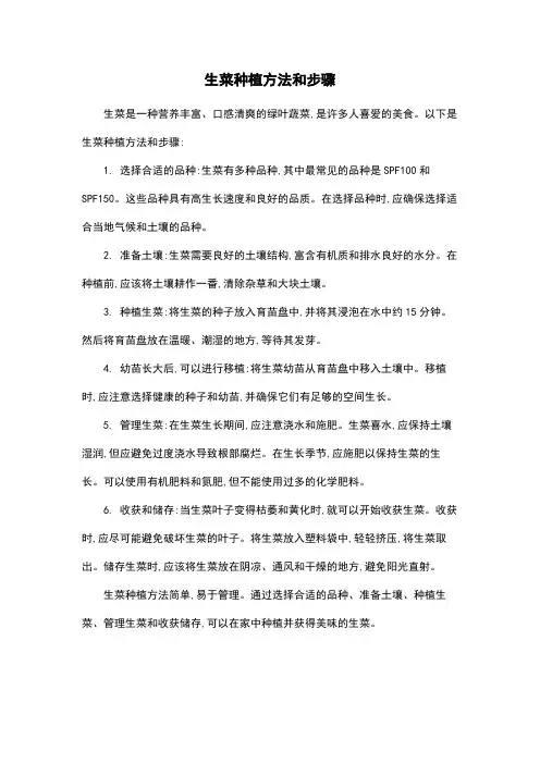 生菜种植方法和步骤