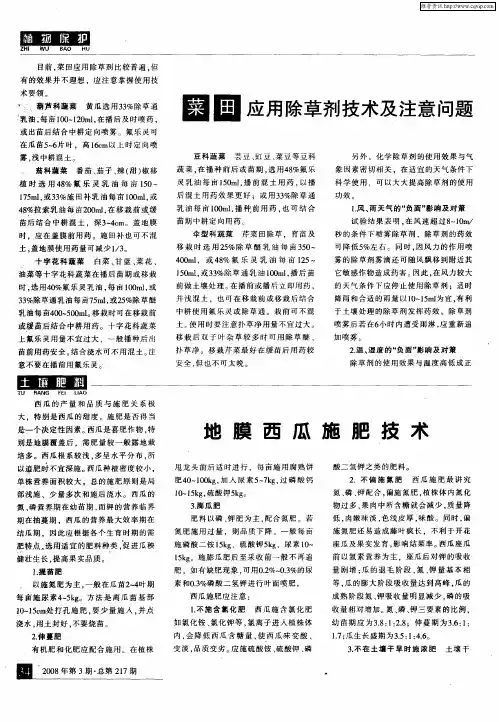 地膜西瓜施肥技术