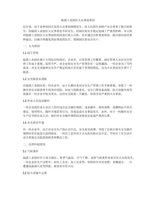 临港工业园区火灾事故原因
