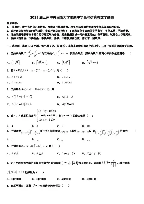 2025届云南中央民族大学附属中学高考仿真卷数学试题含解析