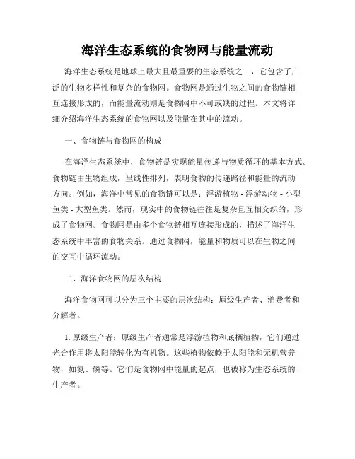 海洋生态系统的食物网与能量流动