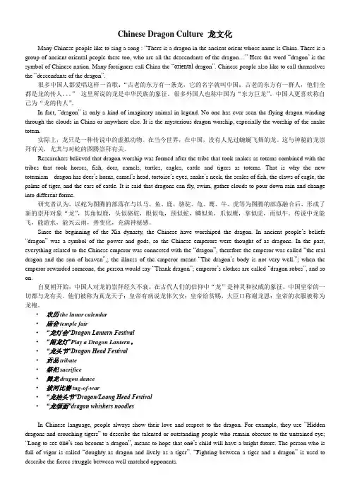 Chinese Dragon Culture 龙文化 (1)