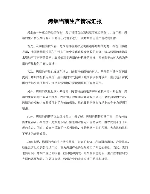 烤烟当前生产情况汇报